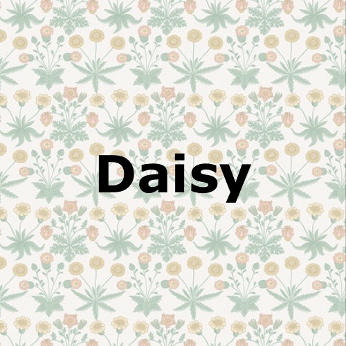 Daisy