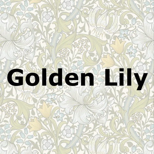 Golden Lily