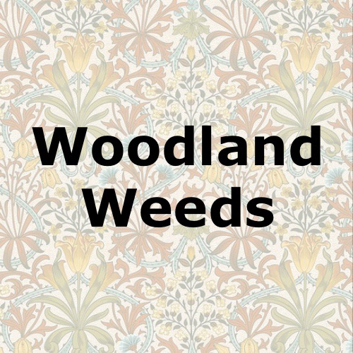 Woodland Weeds