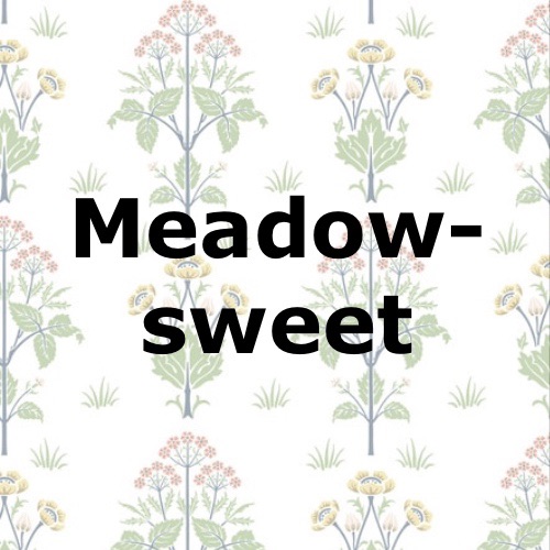 Meadowsweet