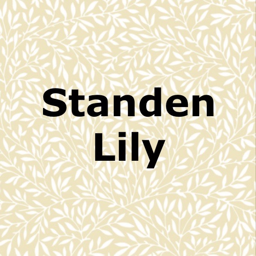 Standen Lily