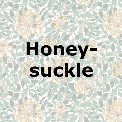 Honeysuckle
