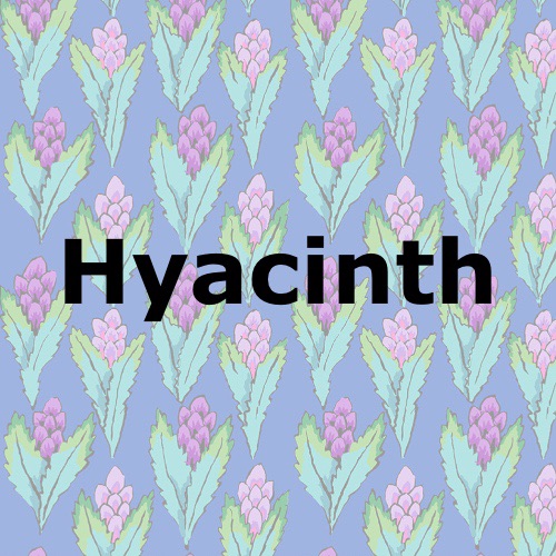 Hyacinth
