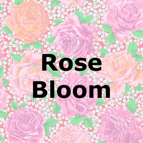 Rose Bloom