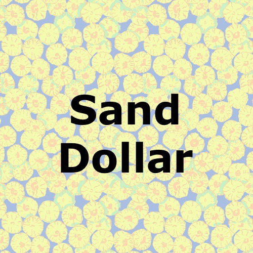 Sand Dollar