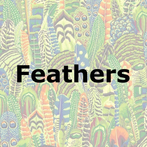 Feathers