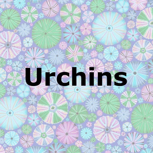 Urchins