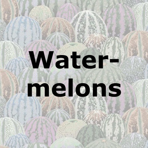 Watermelons