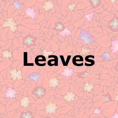 Leaves