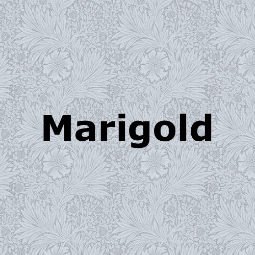 Marigold