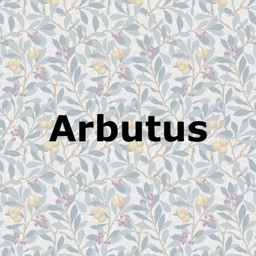 Arbutus