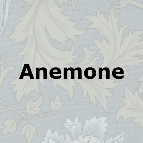 Anemone