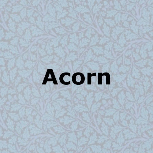 Acorn