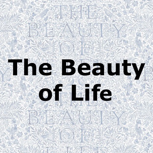 The Beauty of Life