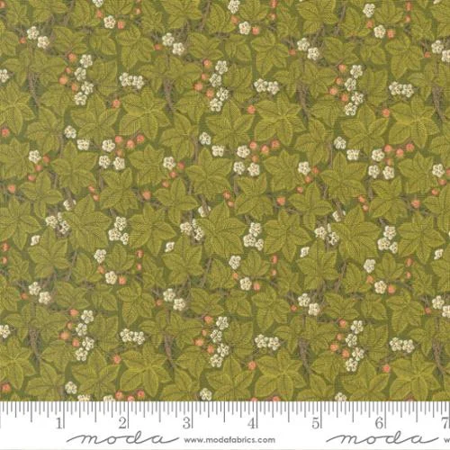 Last Fat Quarter - Morris Meadow by Barbara Brackman - Bramble - No. 8375 20 (Fennel Green) - Moda Fabrics