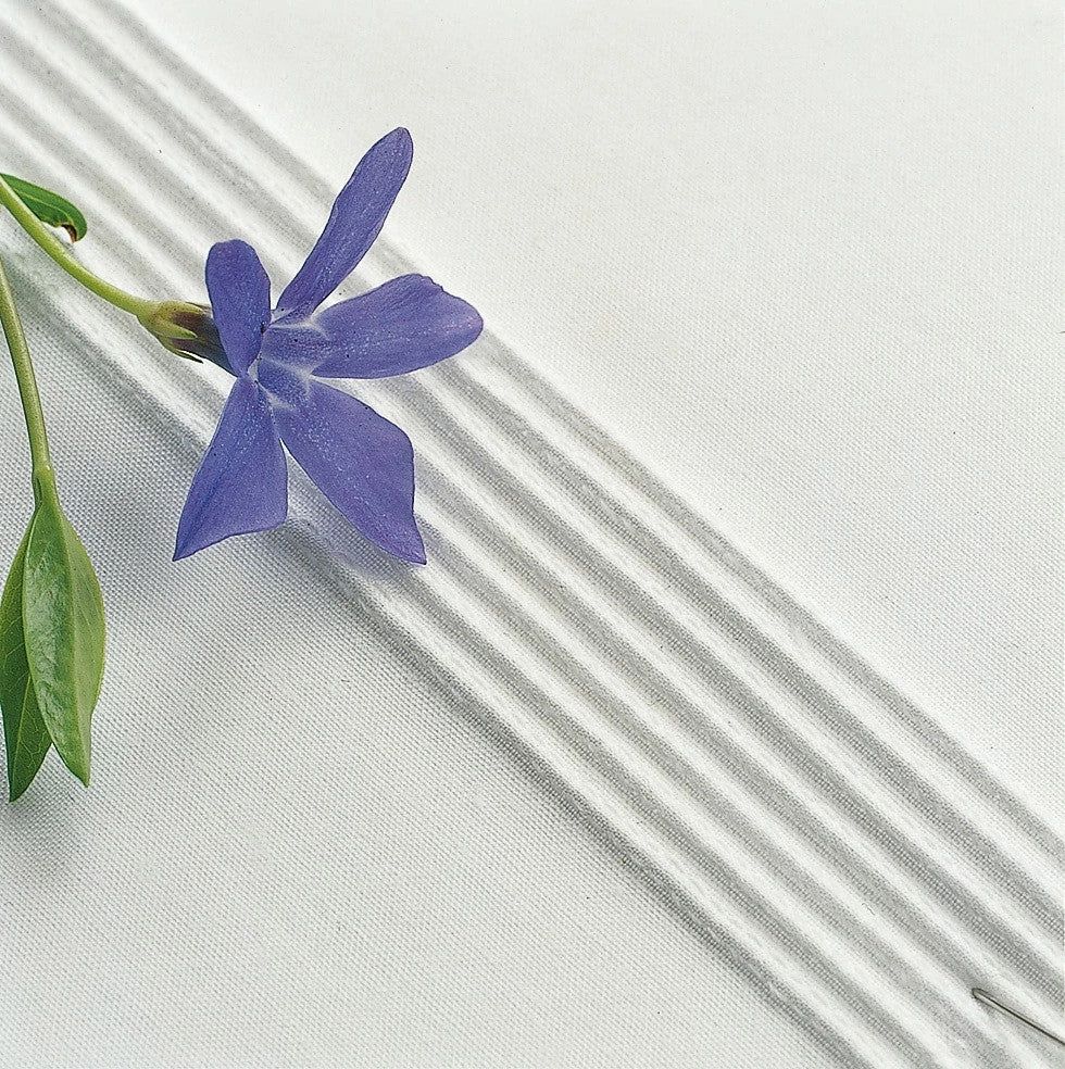 HUSQVARNA VIKING 7-Groove Pintuck Foot - *Unopened & Unused* - Old Stock offered at clearance price - see description for info*