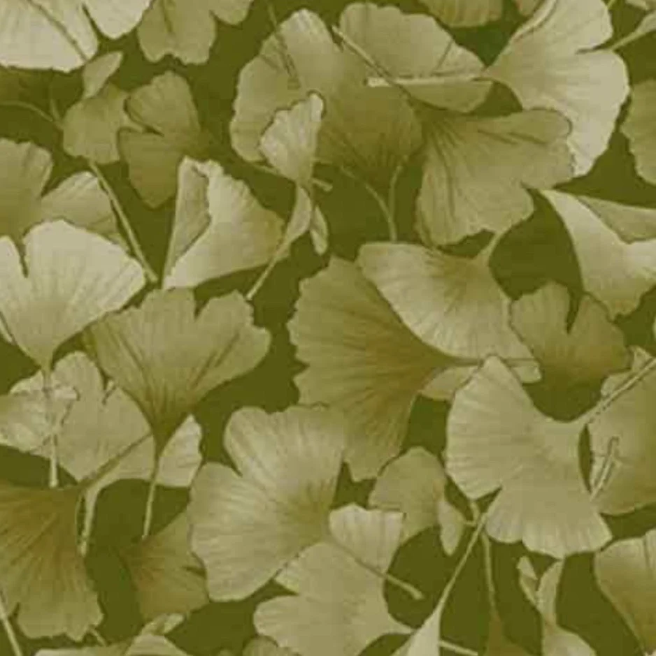 Last Fat Quarter - Kona Bay - Tone It Up - Petite Ginkgo - TONE-07 (Moss) (2 available)