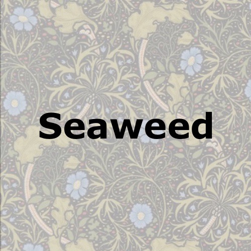 Seaweed