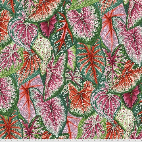 Caladiums - Bright - PWPJ108.BRIGHT - Kaffe Fassett Collective - Last Fat Quarter