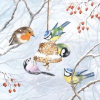Beautiful Winter Birds napkin - 25 x 25 cm