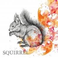 Autumn Squirrel - 3332514