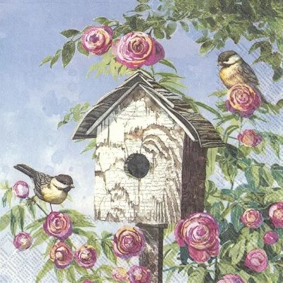 Lovely Bird House - C858800