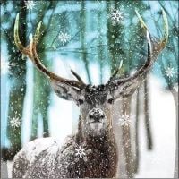 Winter Deer - 12513765