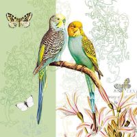 Budgies Green - 13314315 - 33 cm x 33 cm
