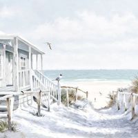 Beach Cabin - 13313915