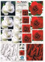 Anniversary Roses, 2 Designs, die cut pyramid decoupage.