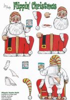 Flippin Christmas - Santa Suit