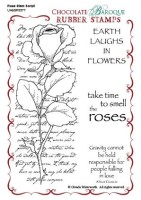 CB10 - Rose Stem Script Unmounted Rubber stamp sheet - A6 - UA6SP0077