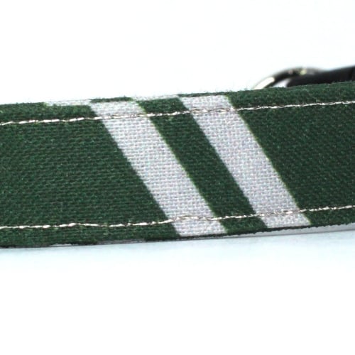 wizard slytherin collar closeup