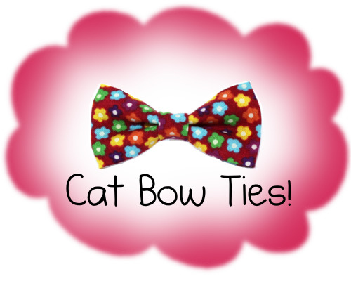 OMG! Bow ties for your cat!
