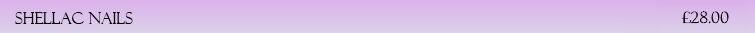 Shellac 2025