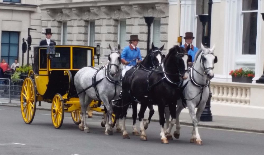 Stunning classic horse & carriages for weddings, Beautiful matched