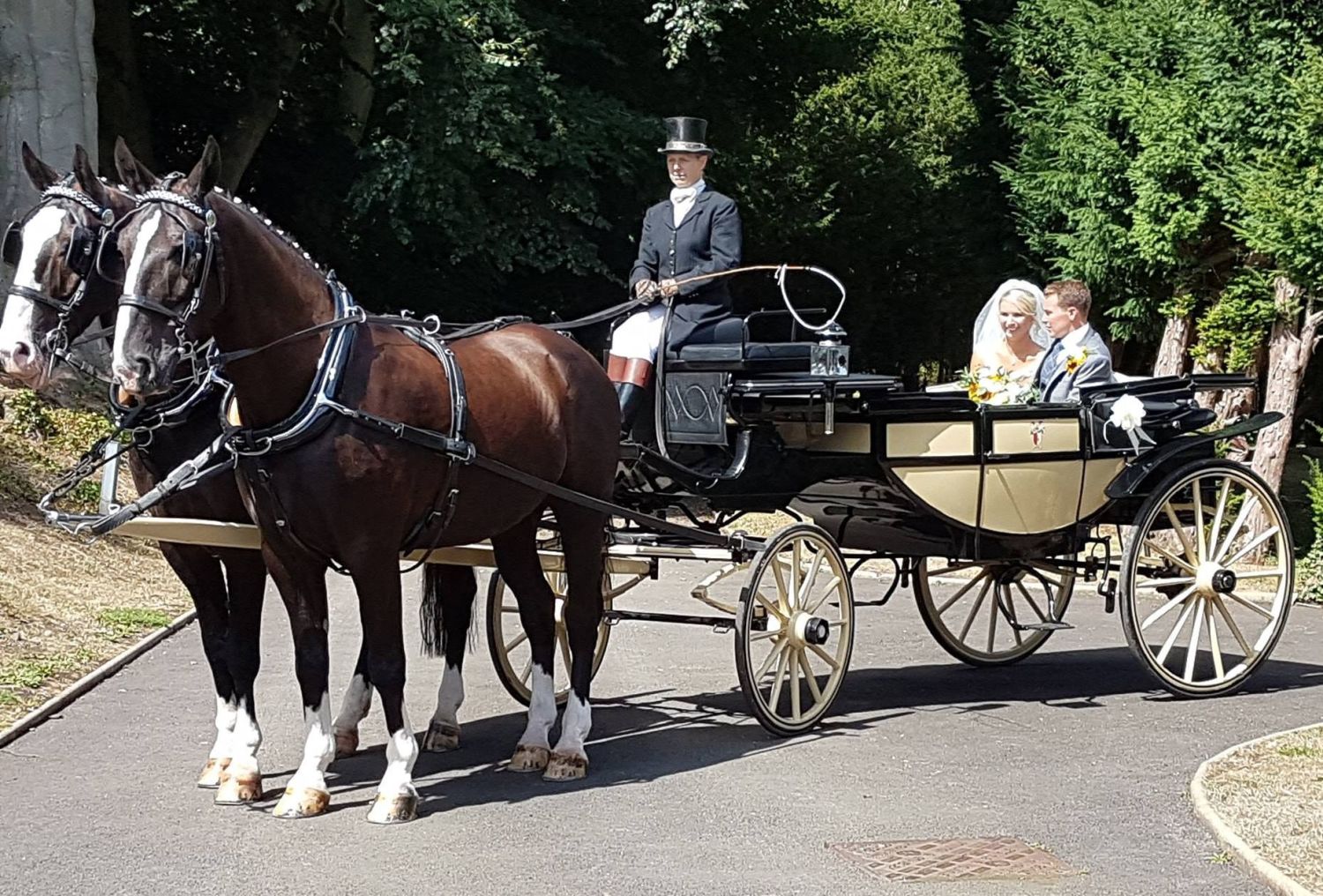 Stunning classic horse & carriages for weddings, Beautiful matched