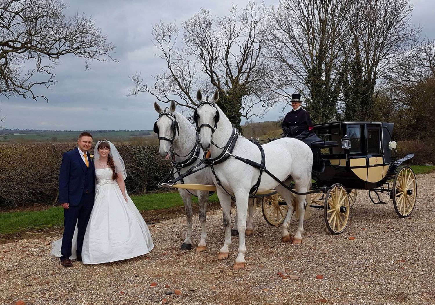 Stunning classic horse & carriages for weddings, Beautiful matched