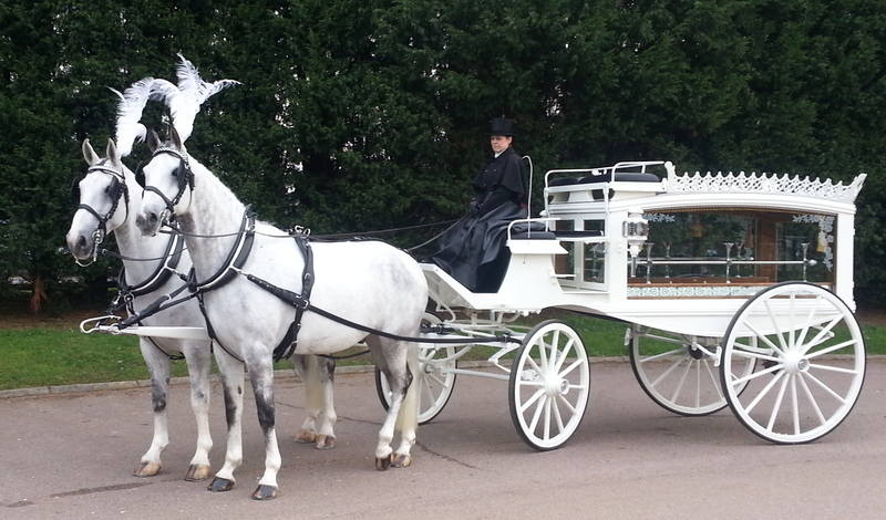 Funerals White horses