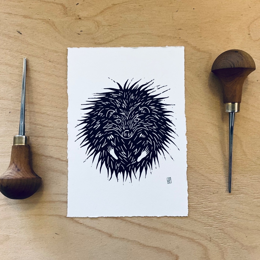 Snail Mail Print Club 12 month Membership