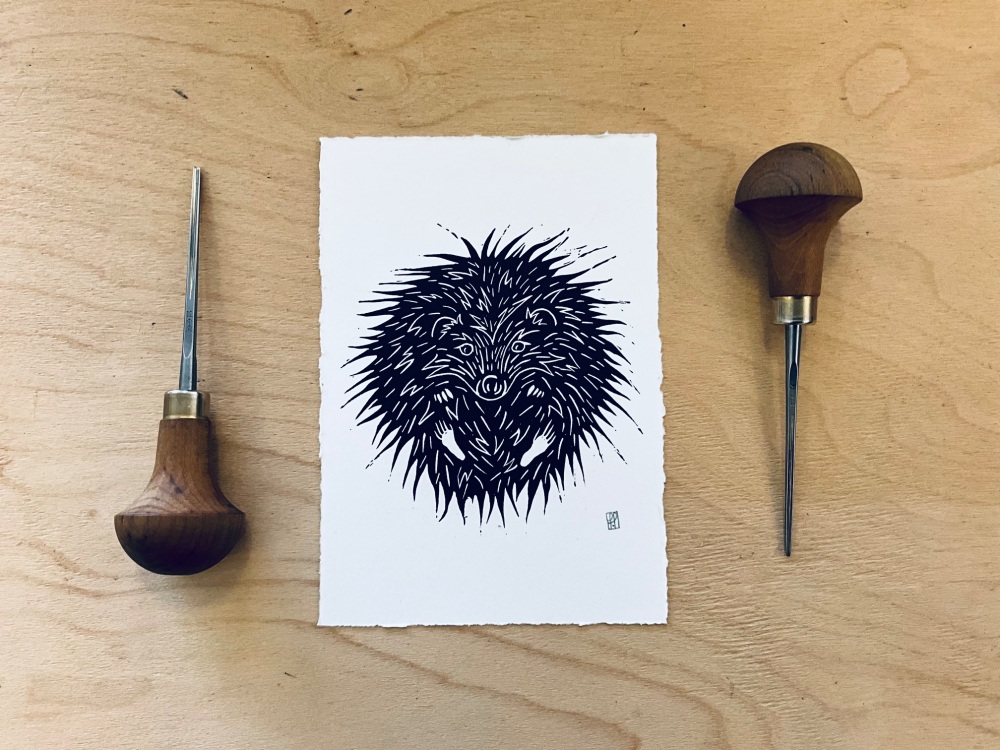 Snail Mail Print Club 12 month Membership