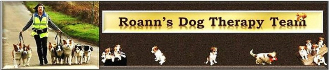 Roann's Team Banner