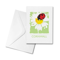 Blank Greetings Card - Cornwall - Ladybird