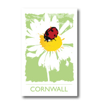 Melamine Fridge Magnet - Ladybird