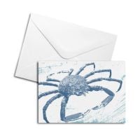 Blank Card - Spider Crab
