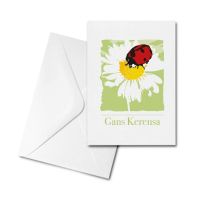 Blank Greetings Card - Gans Kerensa - Ladybird