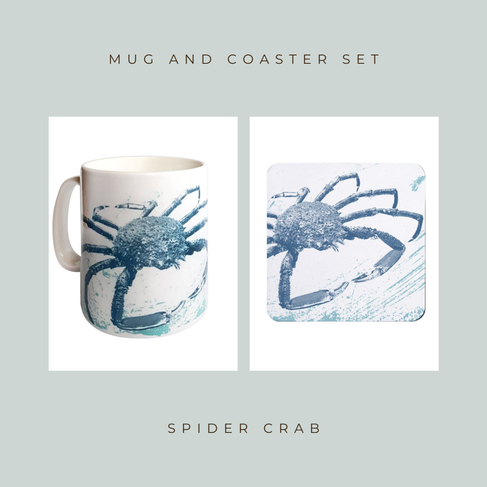 Coaster and Mug Gift - Spider Crab