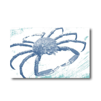 Melamine Fridge Magnet - Spider Crab