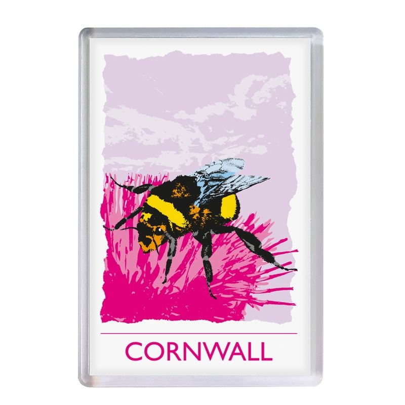 Acrylic Fridge Magnet - Cornwall Bee