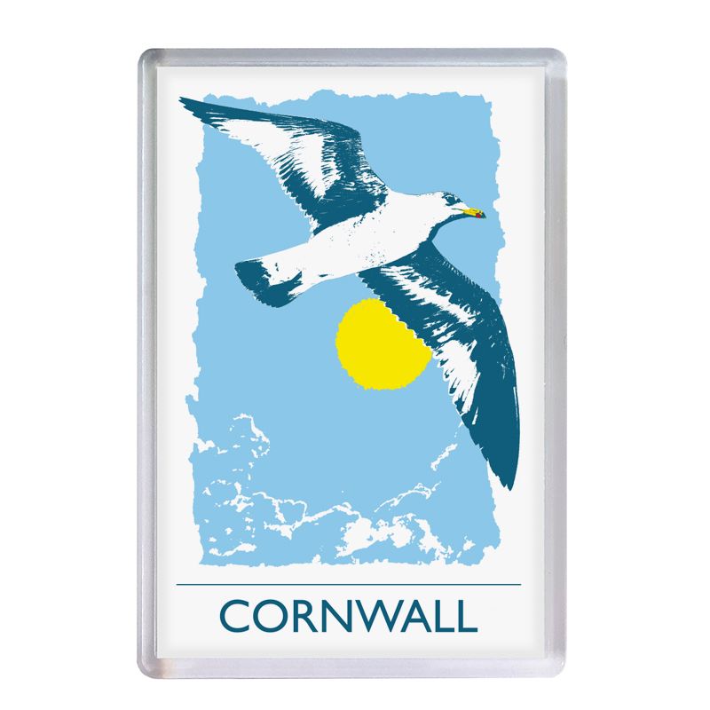 Acrylic Fridge Magnet - Cornwall Seagull